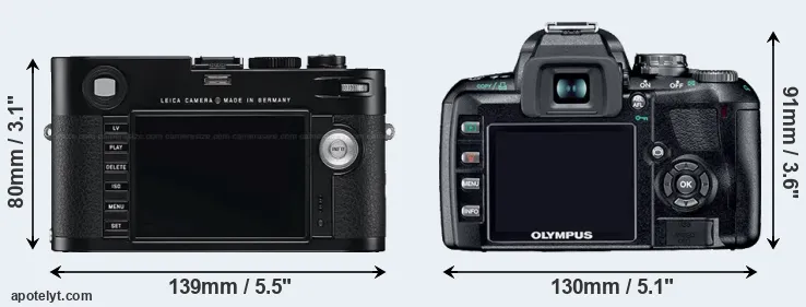 Comparison M Typ 240 or E-410 rear