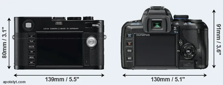Comparison M Typ 240 or E-450 rear