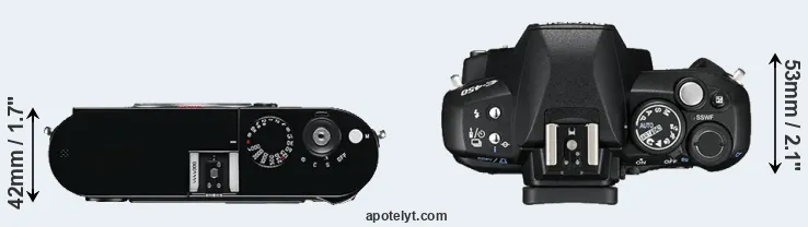 Compare M Typ 240 versus E-450 top
