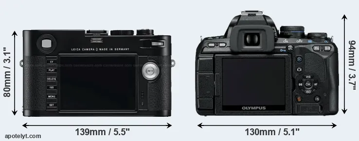 Comparison M Typ 240 or E-600 rear