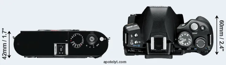 Compare M Typ 240 versus E-600 top