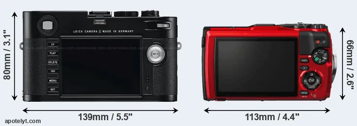 Comparison M Typ 240 or TG-5 rear