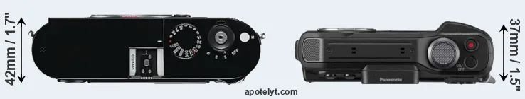 Compare M Typ 240 versus FT7 top