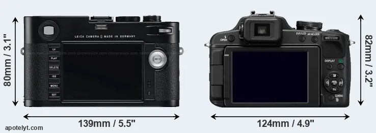 Comparison M Typ 240 or FZ100 rear