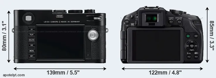 Comparison M Typ 240 or G6 rear