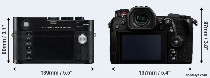 Comparison M Typ 240 or G9 rear