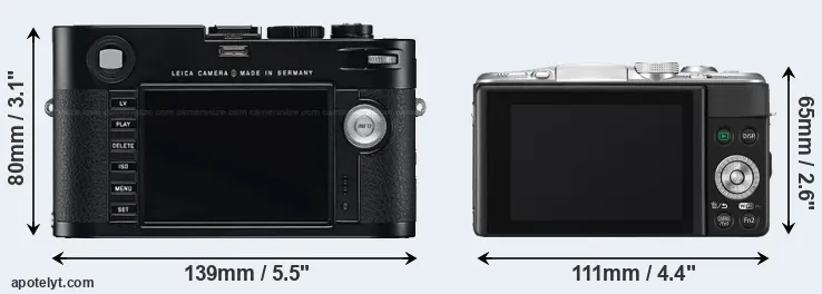 Comparison M Typ 240 or GF6 rear
