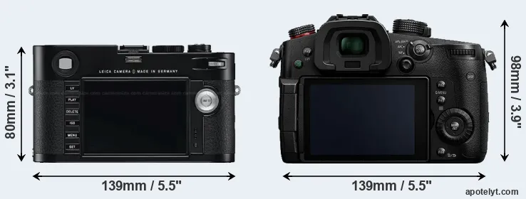 Comparison M Typ 240 or GH5s rear
