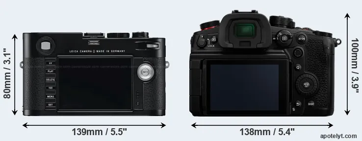 Comparison M Typ 240 or GH6 rear