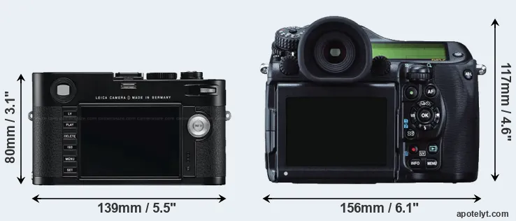 Comparison M Typ 240 or 645Z rear