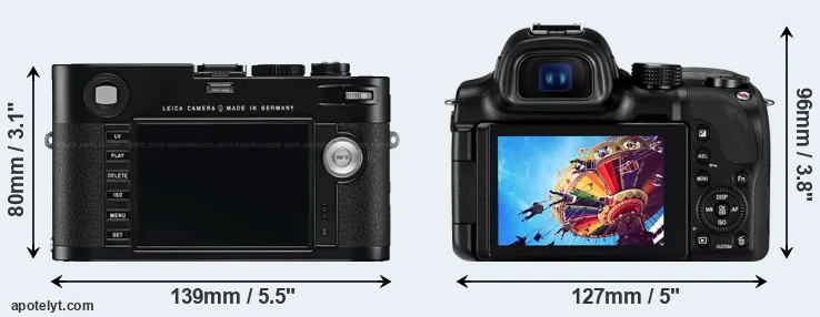 Comparison M Typ 240 or NX30 rear