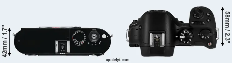 Compare M Typ 240 versus NX30 top