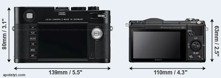 Comparison M Typ 240 or A5000 rear