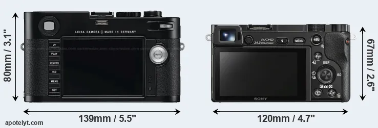 Comparison M Typ 240 or A6000 rear