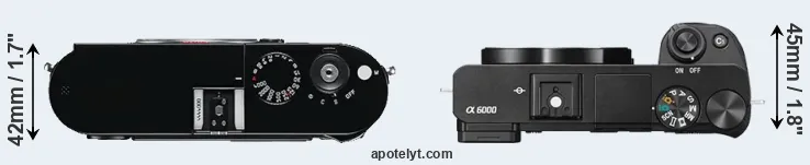 Compare M Typ 240 versus A6000 top