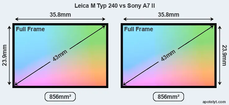 Leica M Typ 240 and Sony A7 II sensor measures