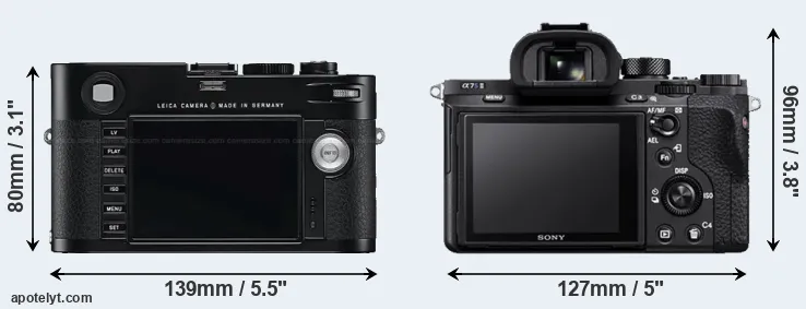 Comparison M Typ 240 or A7S II rear