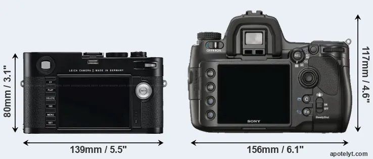 Comparison M Typ 240 or A900 rear
