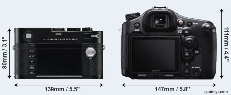 Comparison M Typ 240 or A99 rear