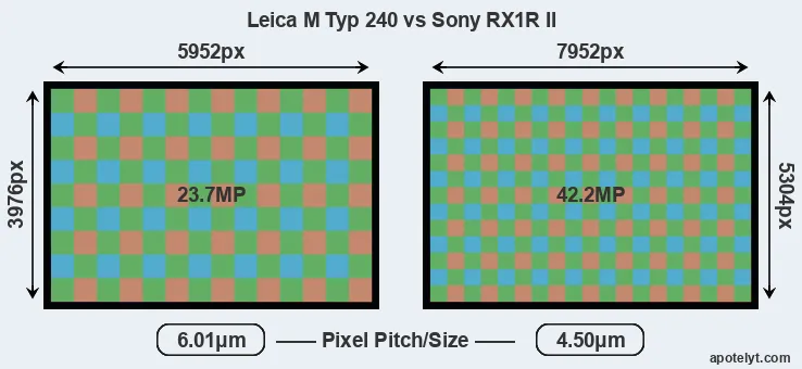 M Typ 240 versus RX1R II MP