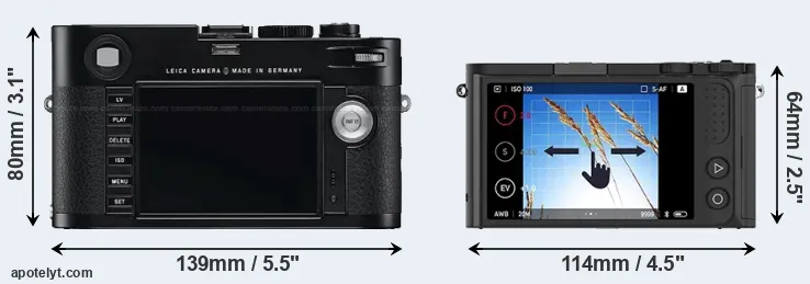 Comparison M Typ 240 or M1 rear