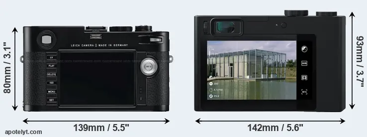 Comparison M Typ 240 or ZX1 rear