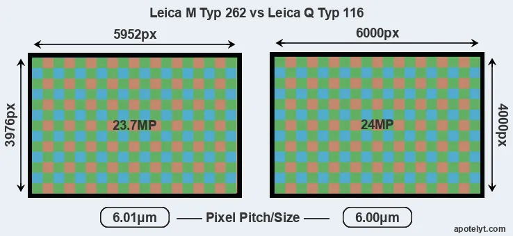 M Typ 262 versus Q Typ 116 MP