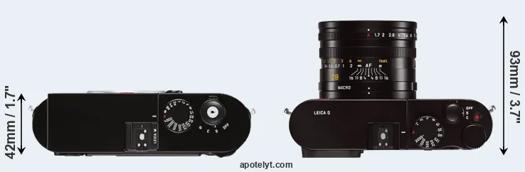 Compare M Typ 262 versus Q Typ 116 top