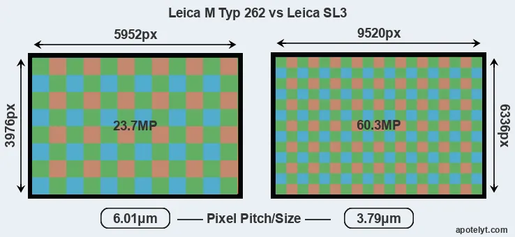 M Typ 262 versus Leica SL3 MP