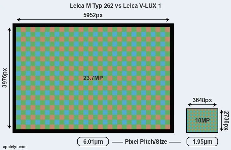 M Typ 262 versus V-LUX 1 MP