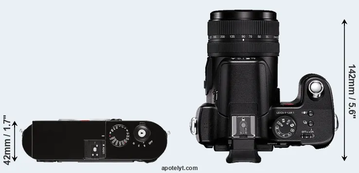 Compare M Typ 262 versus V-LUX 1 top