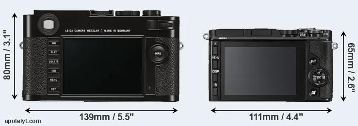 Comparison M Typ 262 or V3 rear