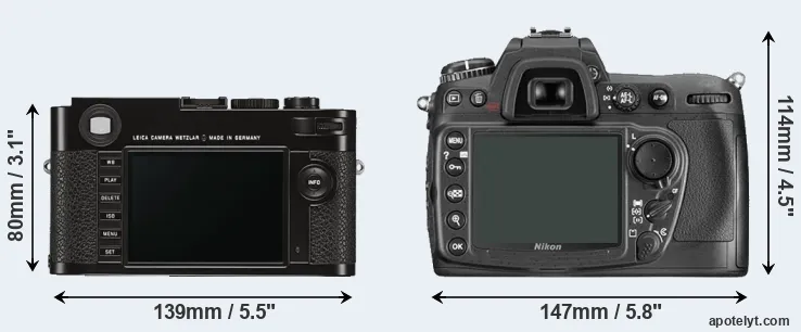 Comparison M Typ 262 or D300 rear