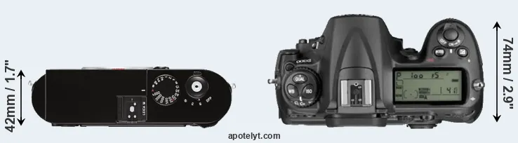 Compare M Typ 262 versus D300 top