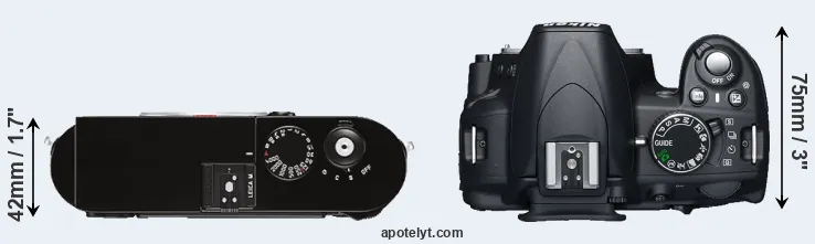 Compare M Typ 262 versus D3100 top