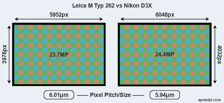 M Typ 262 versus D3X MP