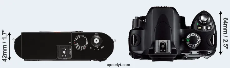 Compare M Typ 262 versus D40 top