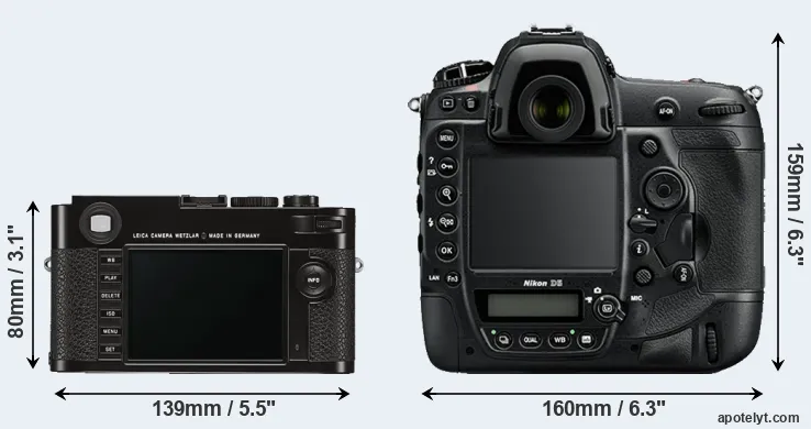 Comparison M Typ 262 or D5 rear