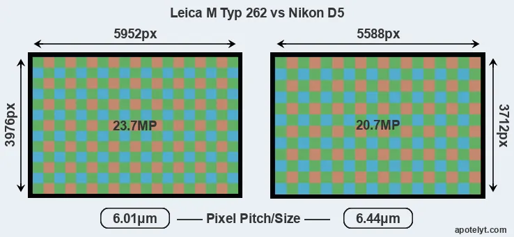 M Typ 262 versus D5 MP