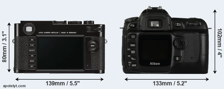 Comparison M Typ 262 or D50 rear