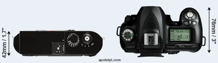 Compare M Typ 262 versus D50 top