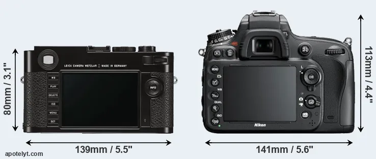 Comparison M Typ 262 or D600 rear