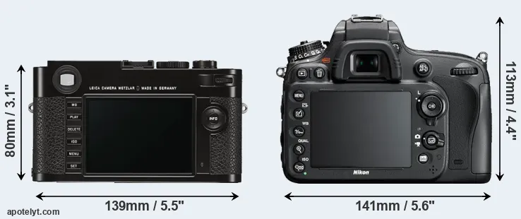 Comparison M Typ 262 or D610 rear