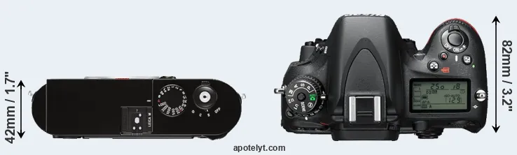 Compare M Typ 262 versus D610 top