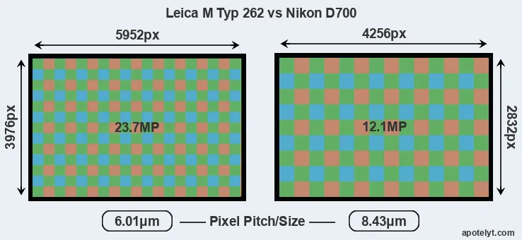 M Typ 262 versus D700 MP