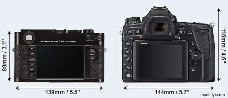 Comparison M Typ 262 or D780 rear
