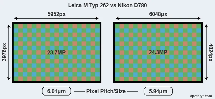 M Typ 262 versus D780 MP