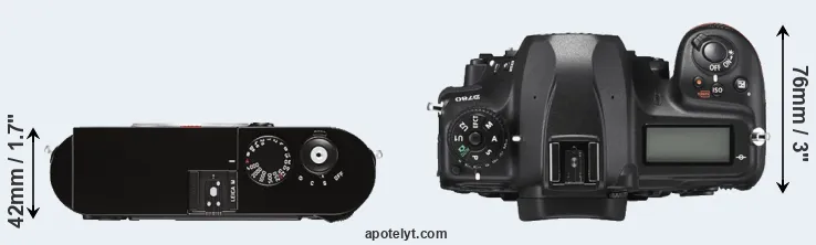 Compare M Typ 262 versus D780 top