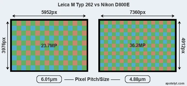 M Typ 262 versus D800E MP