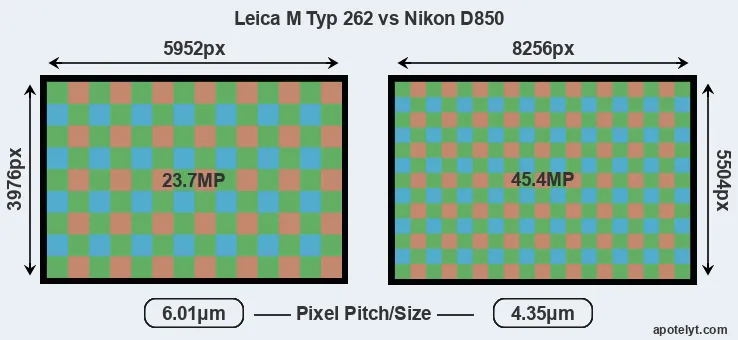 M Typ 262 versus D850 MP